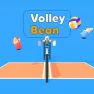 Volley Bean