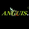 Anguis.io images