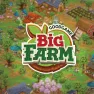 Big Farm