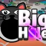 BigHole images