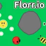 Florr.io