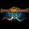 Little Big Snake