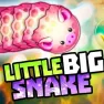 LittleBigSnake.io images