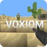 Voxiom.io